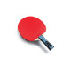 مضرب جاهز بترفلاي Team Butterfly Challenger